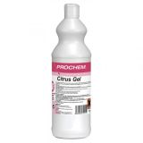 Carpet & Fabric Spotter 1L - Prochem Citrus Gel