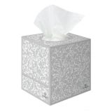 Facial Tissues Cube Box 2 Ply White 70 Sheet - Jangro