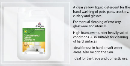 Washing Up Liquid Lemon Concentrated 